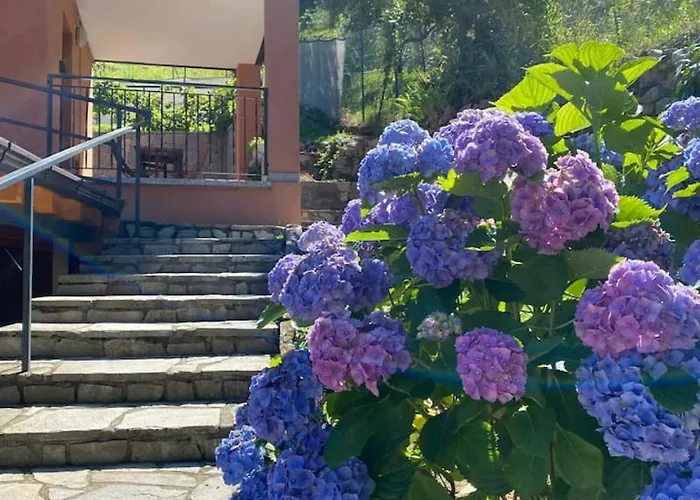 Cannella Comfort Apartment